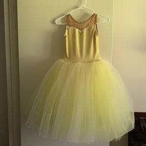 ⚠️ damaged - Great Base for a Halloween Dress A wish come true dress